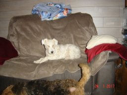 le_nouveau_bobby_20211126_1950932466